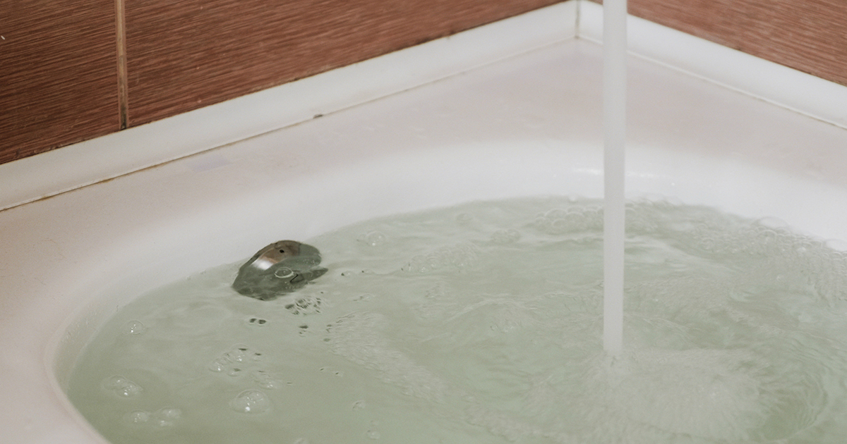 Поступает вода в ванной. Полная ванна воды. Зеленая вода в ванной. Ванна с зеленой водой. Переполненная ванна.